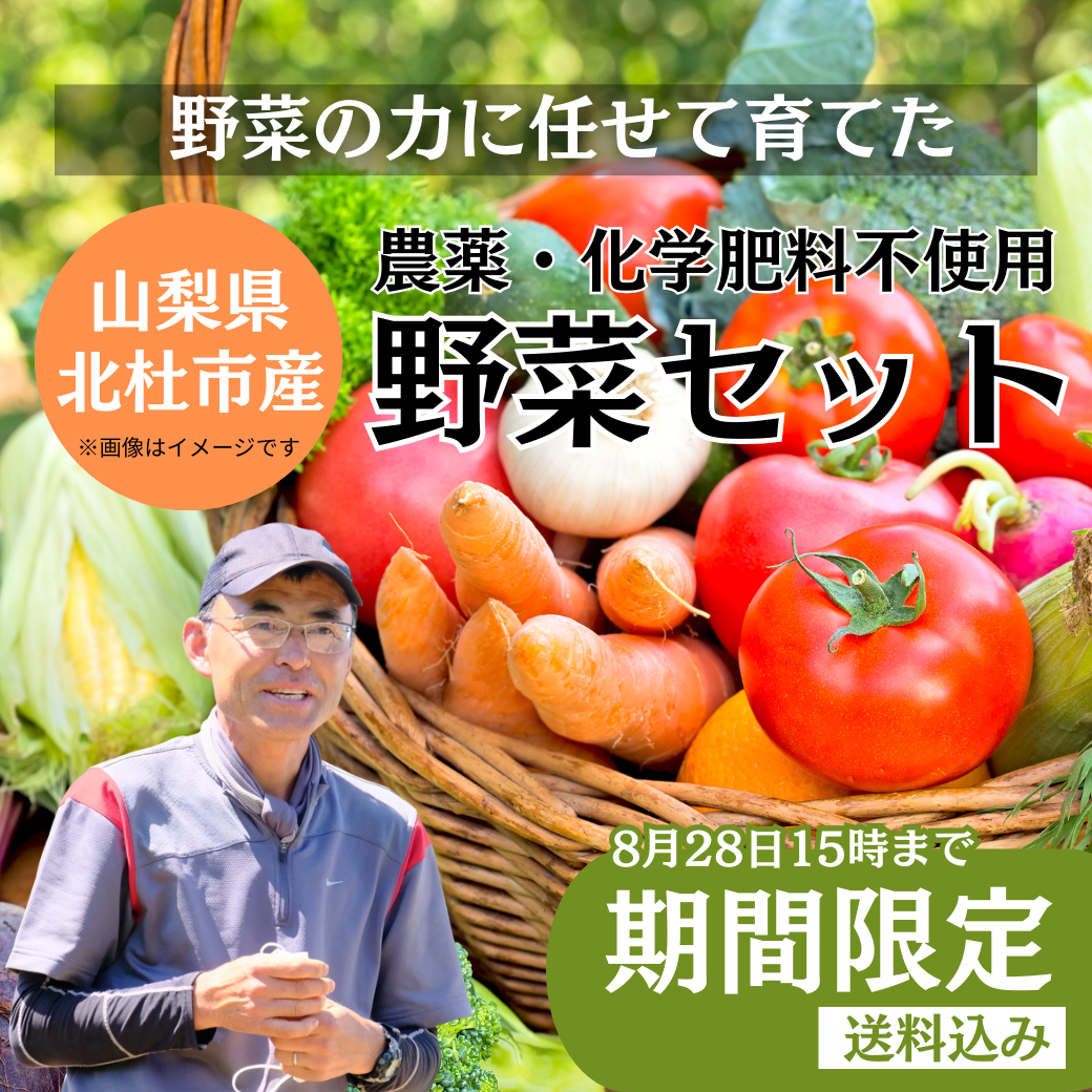 │産地直送│【送料込】山梨県産 季節の野菜7品セット【農薬・化学肥料不使用】