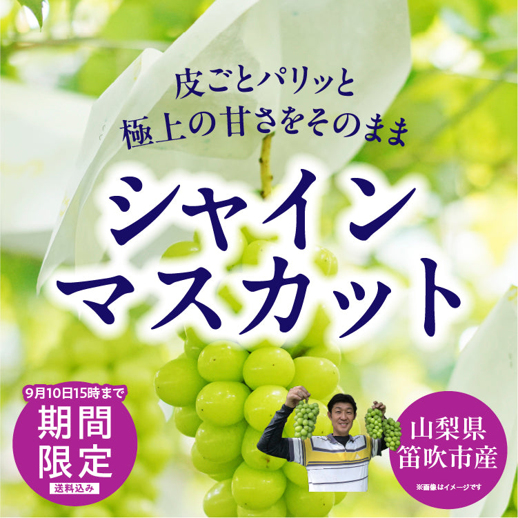 │産地直送│【送料込】山梨県産 シャインマスカット 約1.2kg 2房 化粧箱 ギフト