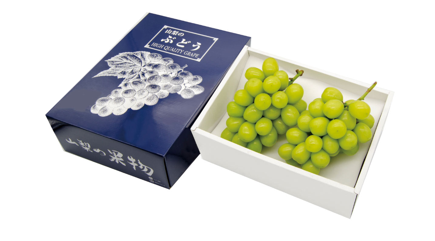 │産地直送│【送料込】山梨県産 シャインマスカット  約1.2kg 2房 化粧箱 ギフト