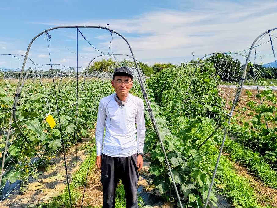 │産地直送│【送料込】山梨県産 季節の野菜7品セット【農薬・化学肥料不使用】