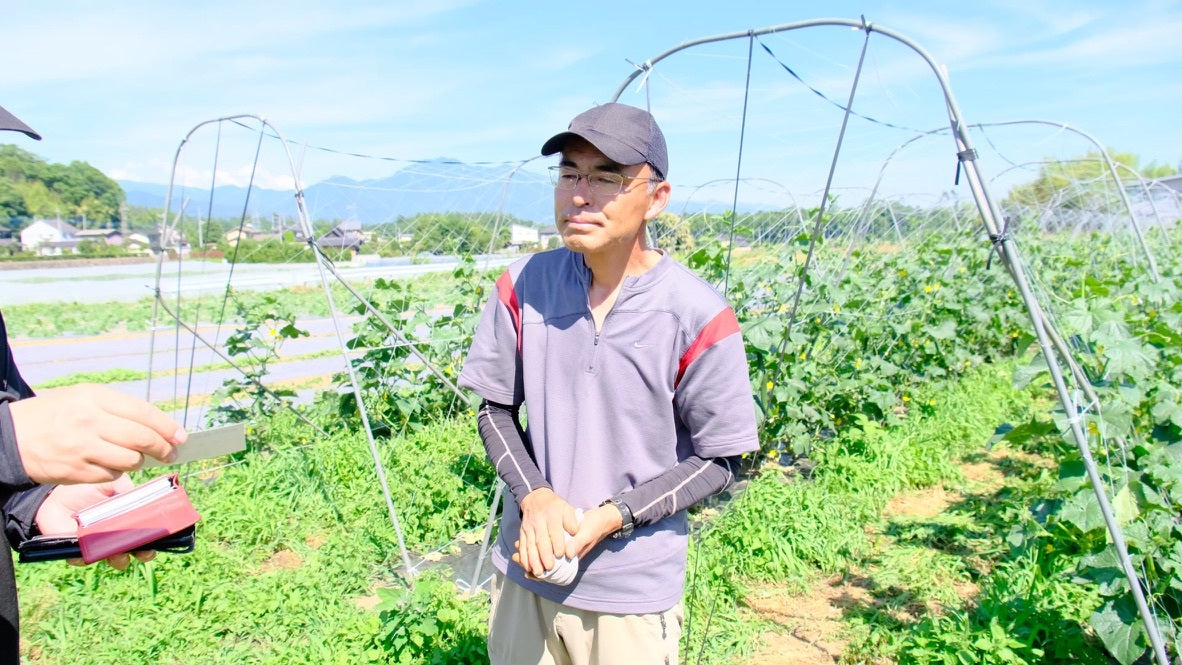 │産地直送│【送料込】山梨県産 季節の野菜7品セット【農薬・化学肥料不使用】