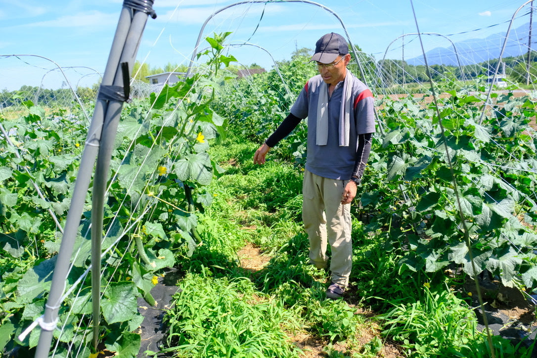 │産地直送│【送料込】山梨県産 季節の野菜7品セット【農薬・化学肥料不使用】